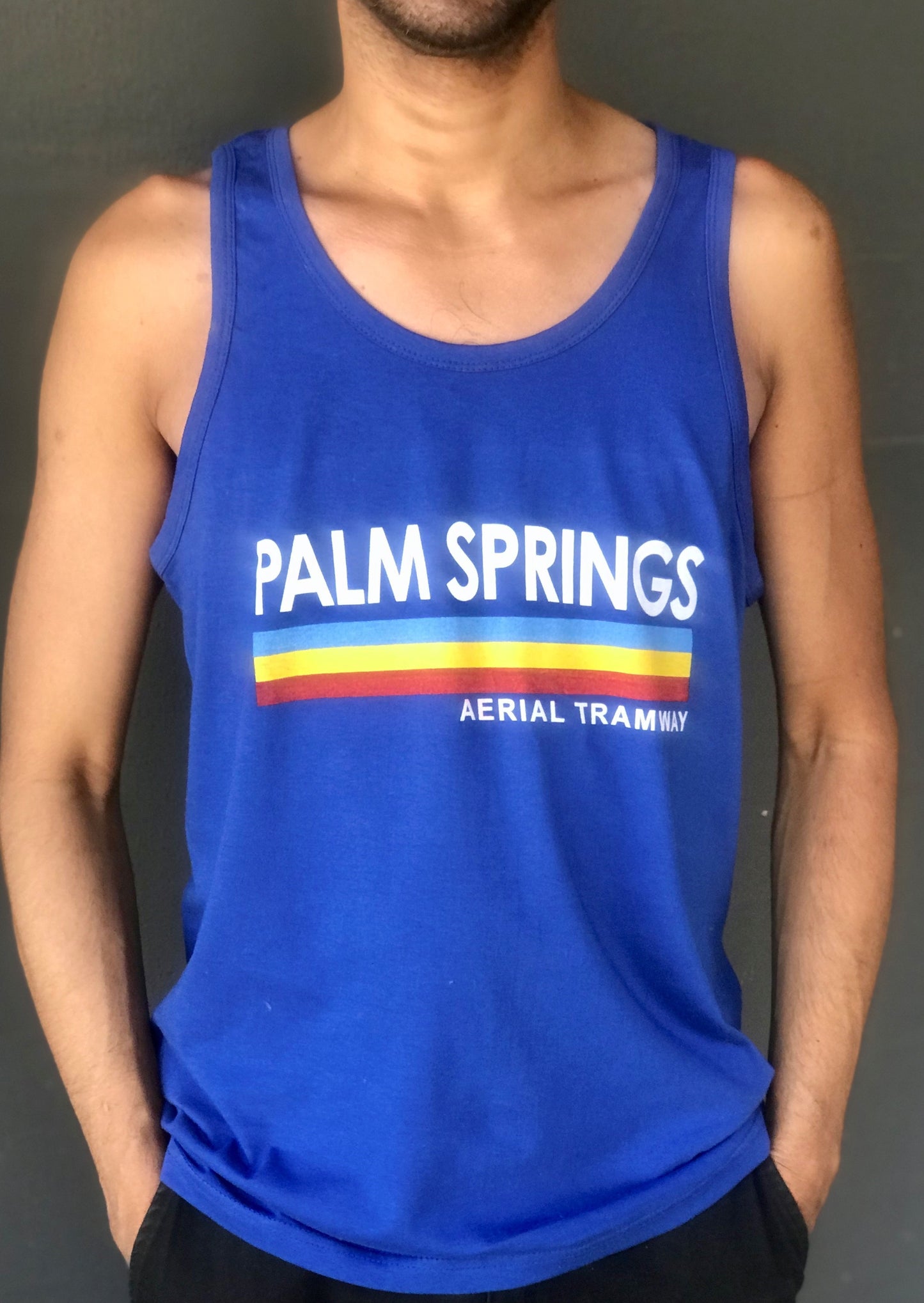 Palm Springs Tramway Adult Tank Top